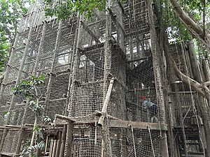 Center Parcs Het Heijderbos 9 center-parcs-het-heijderbos_pic7