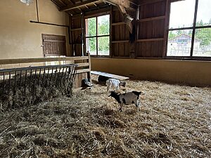 Center Parcs Les Trois Forêts 12 center-parcs-les-trois-forets_pic10