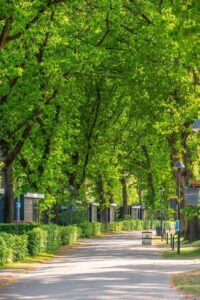 europarcs-de-zanding_pic5