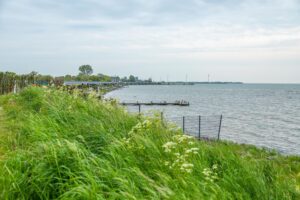 EuroParcs Markermeer 9 europarcs-markermeer_pic8