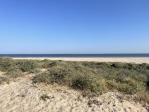 Ferienpark Ridderstee 9 ferienpark-ridderstee_pic8