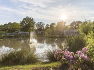 landal-amerongse-berg_pic11