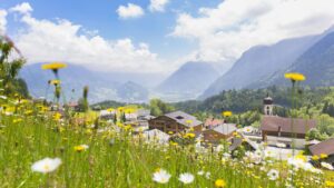 Landal Chalet Matin 5 landal-chalet-matin_pic7