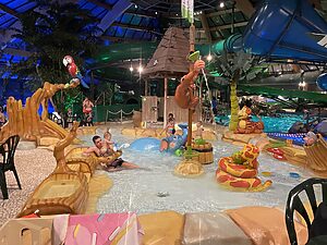 landal-de-lommerbergen_pic11