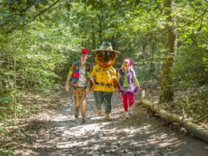 landal-de-lommerbergen_pic14