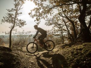 landal-duc-de-brabant_pic12