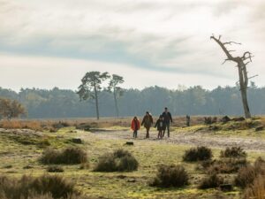 landal-duc-de-brabant_pic13