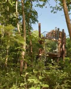 Landal Forest Resort Your Nature 3 landal-forest-resort-your-nature_pic7