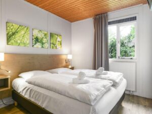 Landal Heihaas 6 landal-heihaas_pic6