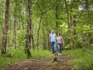 Landal Landgoed De Elsgraven 8 landal-landgoed-de-elsgraven_pic12