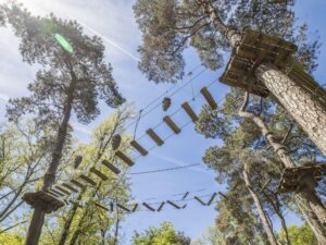 Landal PUUR Exloo 2 landal-puur-exloo_pic1