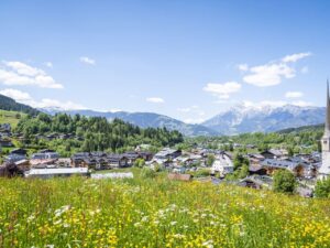 Landal Resort Maria Alm 14 landal-resort-maria-alm_pic15