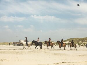 landal-schuttersbos_pic9