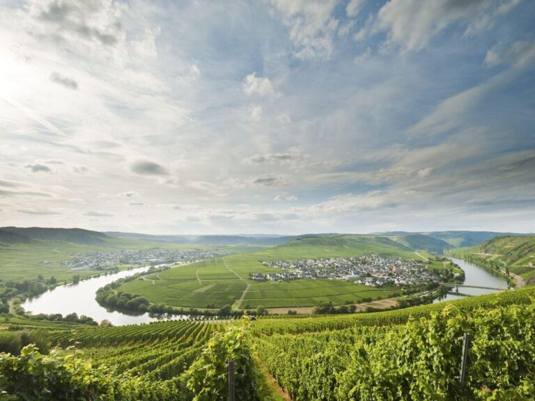 Alle Ferienparks in Rheinland-Pfalz auf einer Karte