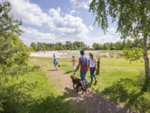 Landal Twenhaarsveld 3 landal-twenhaarsveld_pic4