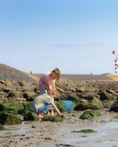 landal-west-terschelling_pic8