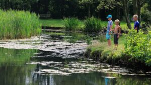 molecaten-park-het-landschap_pic7