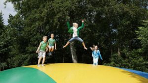 molecaten-park-t-hout_pic8