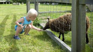 Molecaten Park Wijde Blick 11 molecaten-park-wijde-blick_pic10