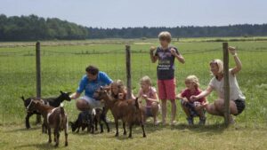 rcn-de-flaasbloem_pic11