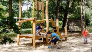 rcn-de-flaasbloem_pic12