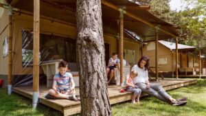 rcn-de-flaasbloem_pic2