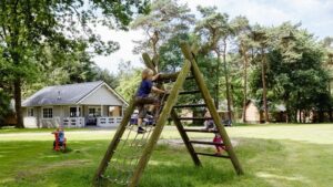 rcn-de-flaasbloem_pic5