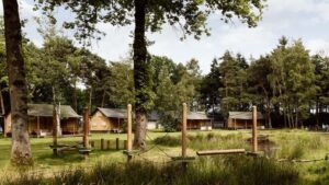 rcn-de-flaasbloem_pic6