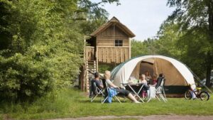 rcn-de-flaasbloem_pic8