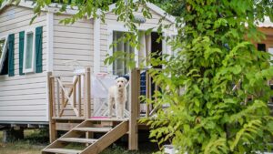 rcn-la-ferme-du-latois_pic10