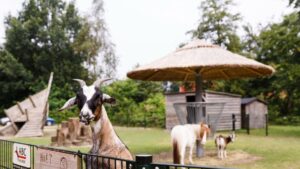 RCN Zeewolde 13 rcn-zeewolde_pic12