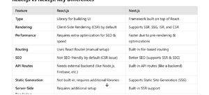 react-vs-next