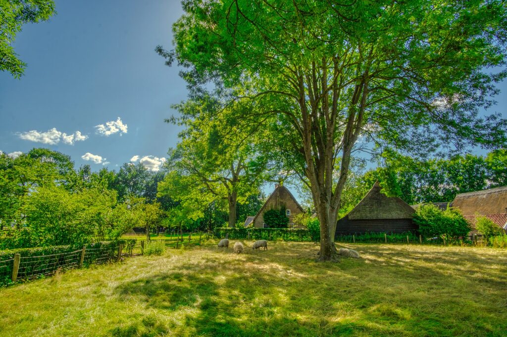 Die 20 besten Ferienparks in Holland